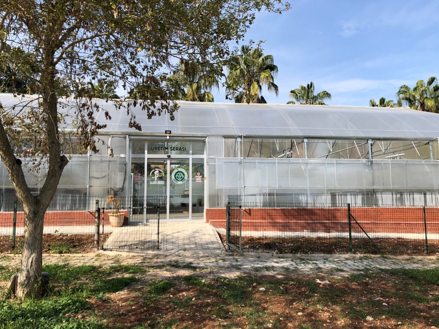 Medical Aromatic Plant Cultivation Greenhouse- Adana